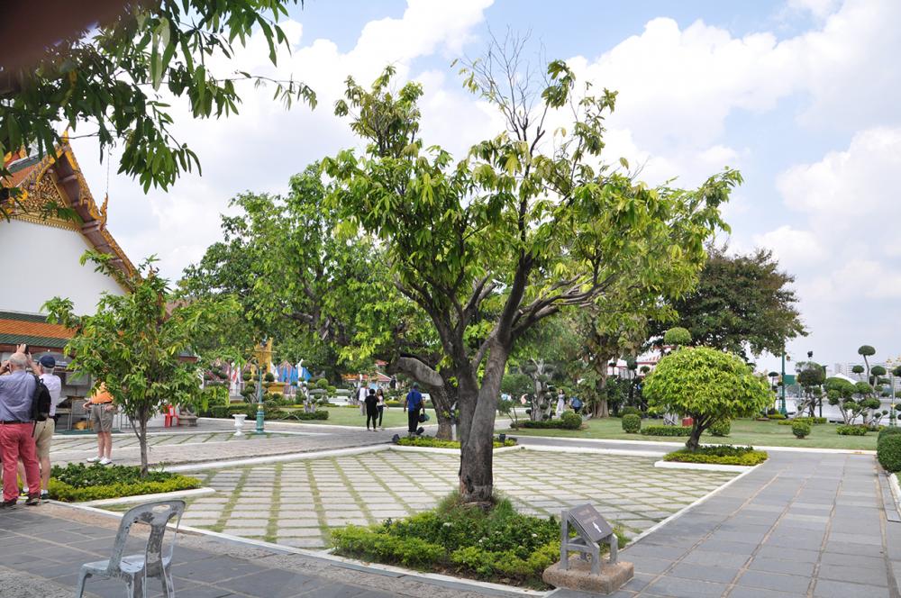 บริเวณลานวัดอรุณฯ มีพื้นที่ไม่มาก