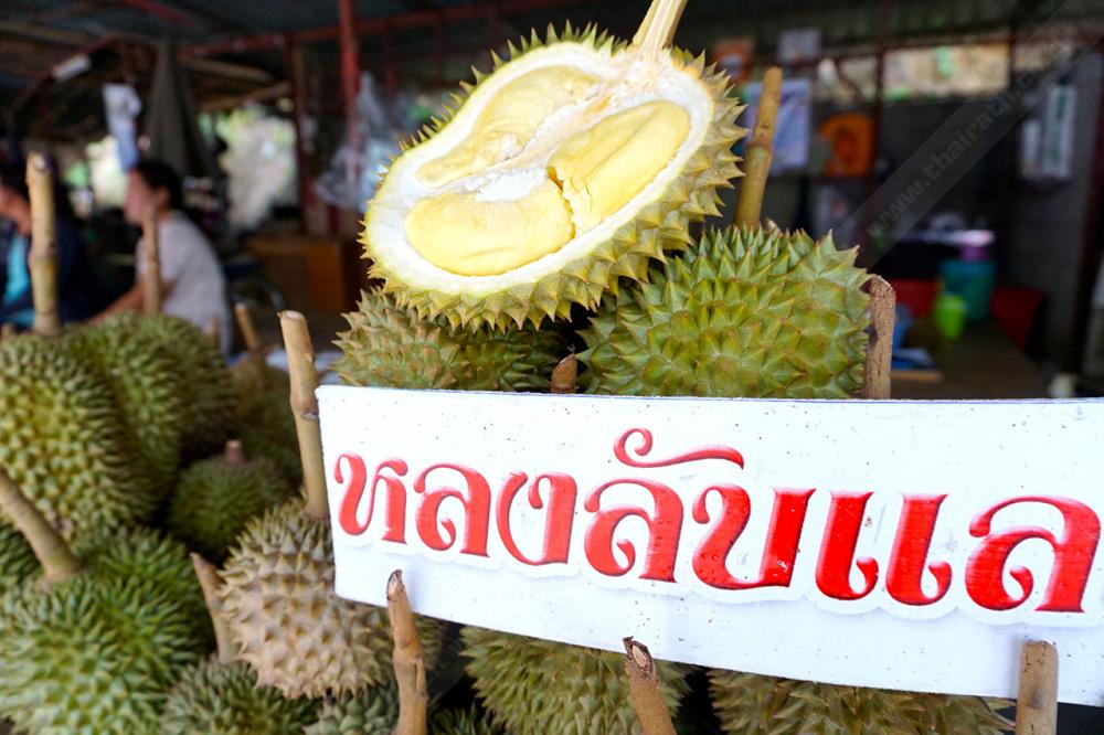 เราชิมลูกที่ผ่านี่เลย ถึงจะลูกเล็ก แต่หวาน มัน อร่อย