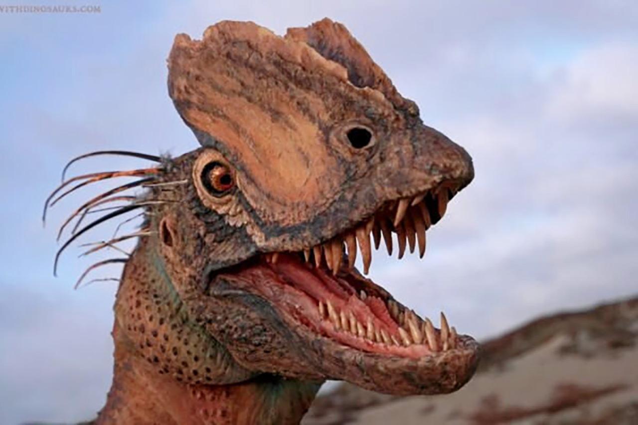 Credit : Brian Engh / The Saint George Dinosaur Discovery Site