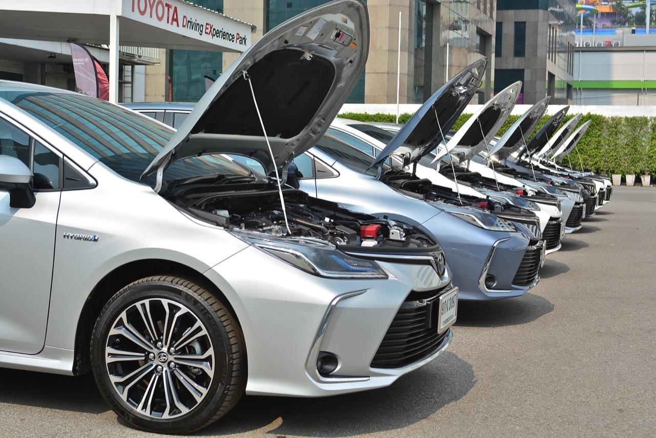 Toyota motor thailand