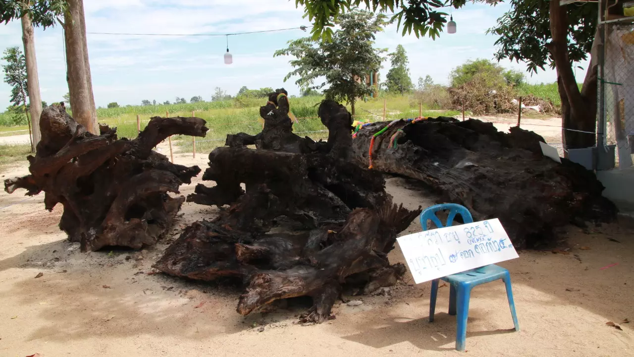 เลขเด็ด ตะเคียนทอง "แม่ภัสรา" ให้โชคคอหวยดวงเฮง มาแล้วหลายงวด