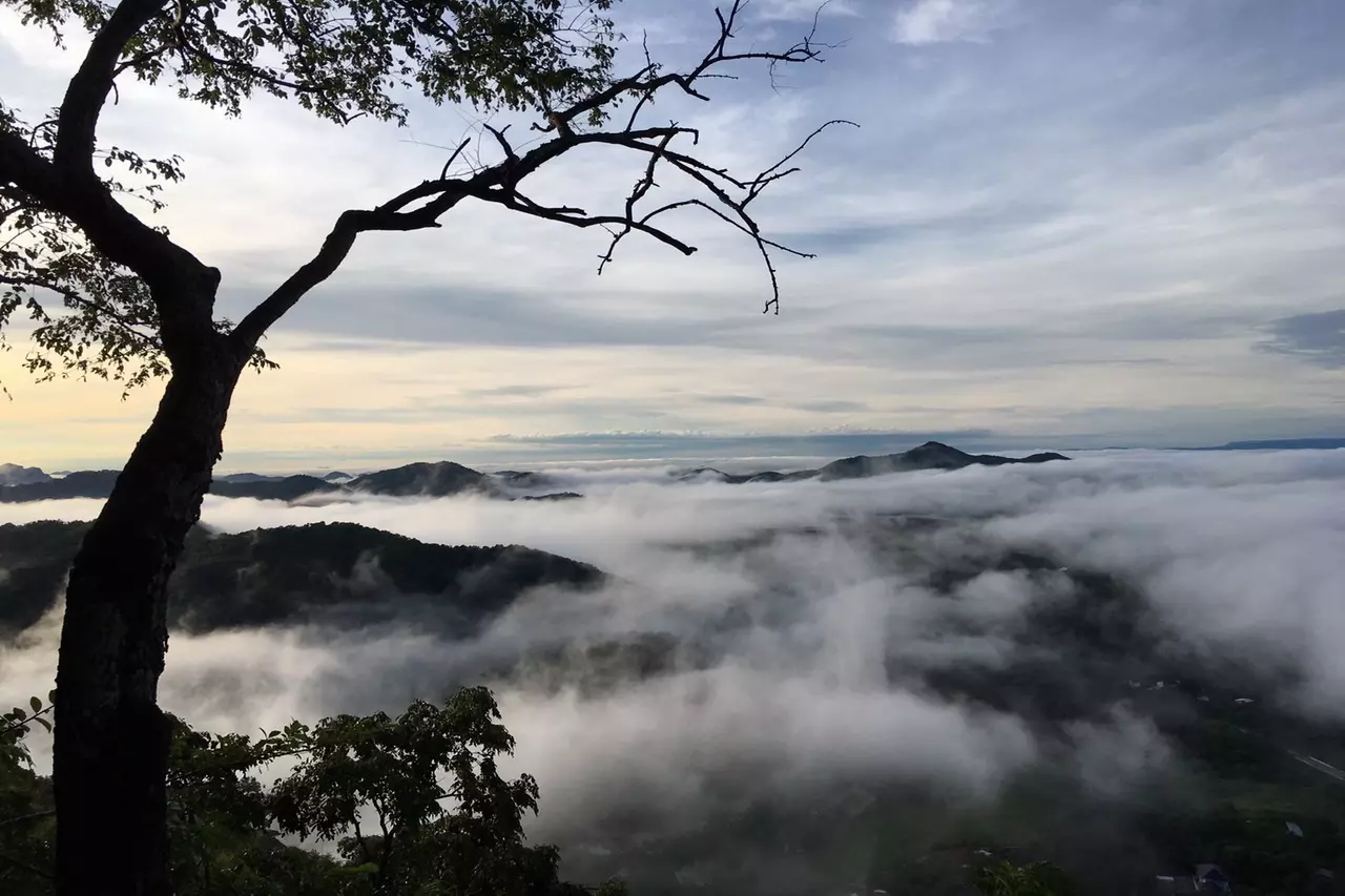 ปลายฝนต้นหนาวเมืองเลย พระอาทิตย์ขึ้นท่ามกลางทะเลหมอก ที่ภูบ่อบิด