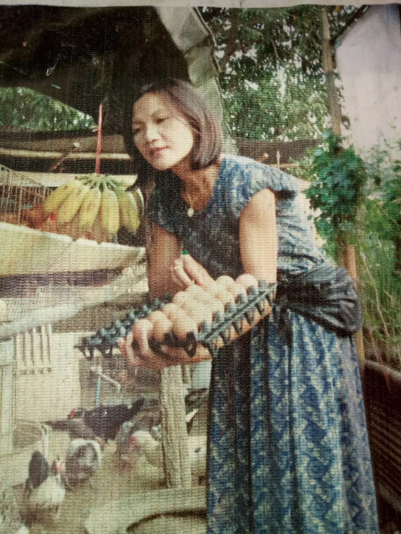 เกษตรพารวย! “ครูรุ่ง” ยึดหลักพอเพียงตามรอยในหลวง ร.9 จนมีเงินล้าน