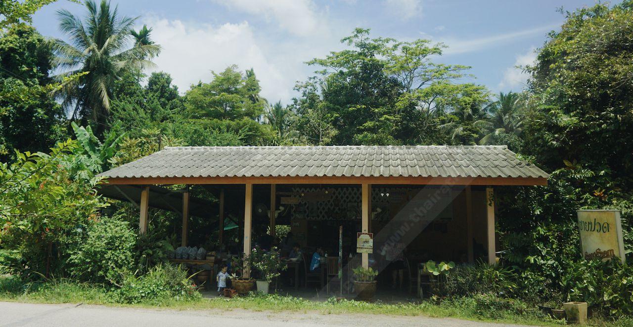 ร้านยายปวด