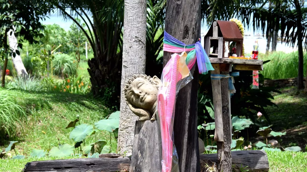 ชาวบ้านสุดทน! บ้านพักฝรั่ง นำเศียรพระไว้ขอนไม้ มีผ้าถุงอยู่เหนือเศียร