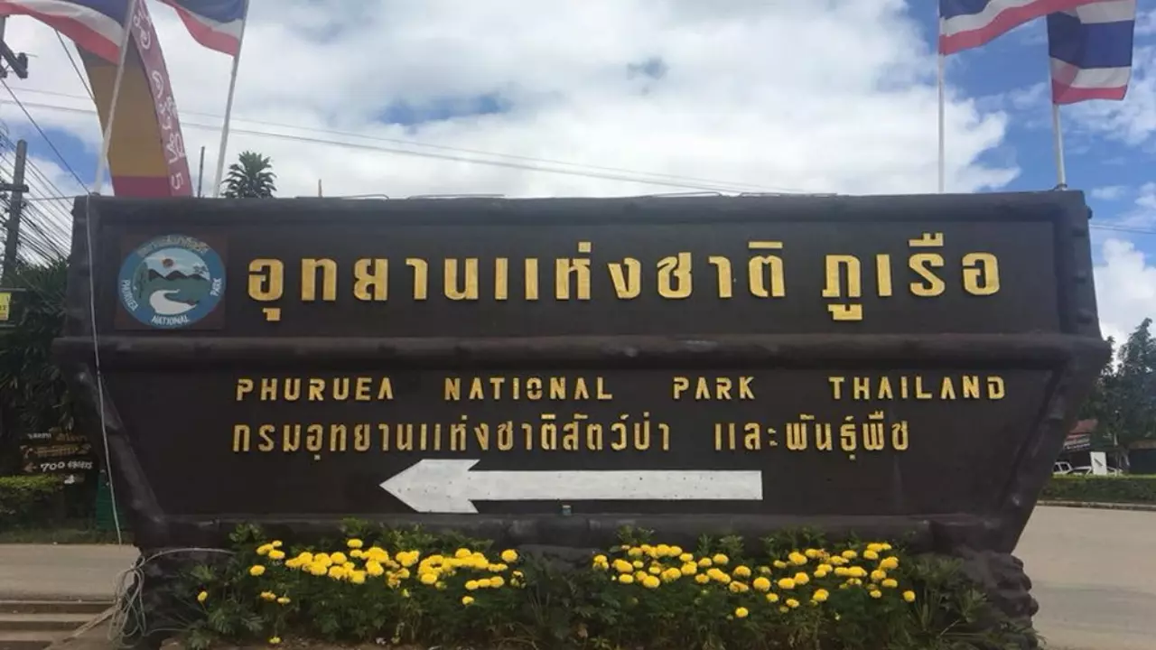 ไทยเที่ยวไทย! แห่ขึ้น 'ภูเรือ-ภูกระดึง' รับลมหนาว ชมทะเลหมอก 8 องศา