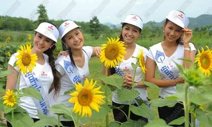 ชั่งหัวมัน โครงการพระราชดำริ ล่าสุด ต้นแบบความสำเร็จในการช่วยเหลือเกื้อกูลกัน