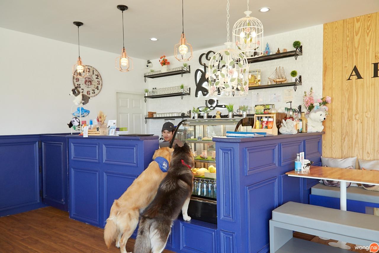 น่าฟัด! รีวิวคาเฟ่เจ้าสี่ขา Husky House Cafe แห่งแรกในชลบุรี