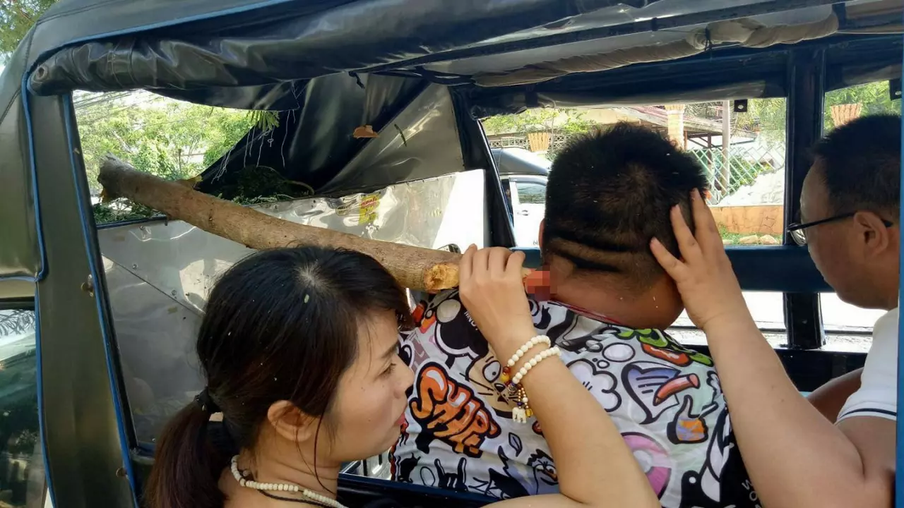 นทท.จีนนั่งสองแถวเกาะช้างเจ็บ 2 เจอกิ่งไม้หักปักทิ่มคอ-กระแทกหัว