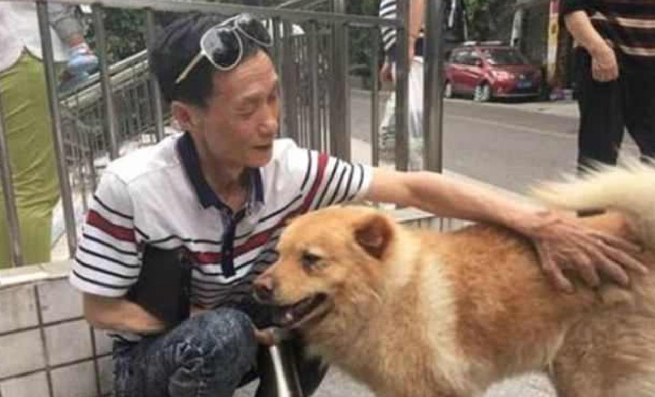 สุดดีใจเมื่อเห็นเจ้าของกลับมา