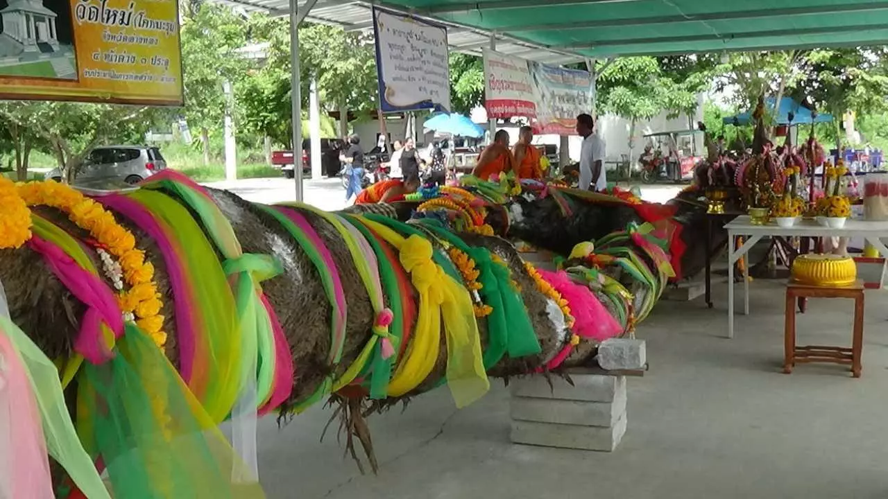 เลขเด็ดหญิงใบ้ รวมหวยดังจากทั่วไทย ไม่รวยไม่ได้แล้ว!
