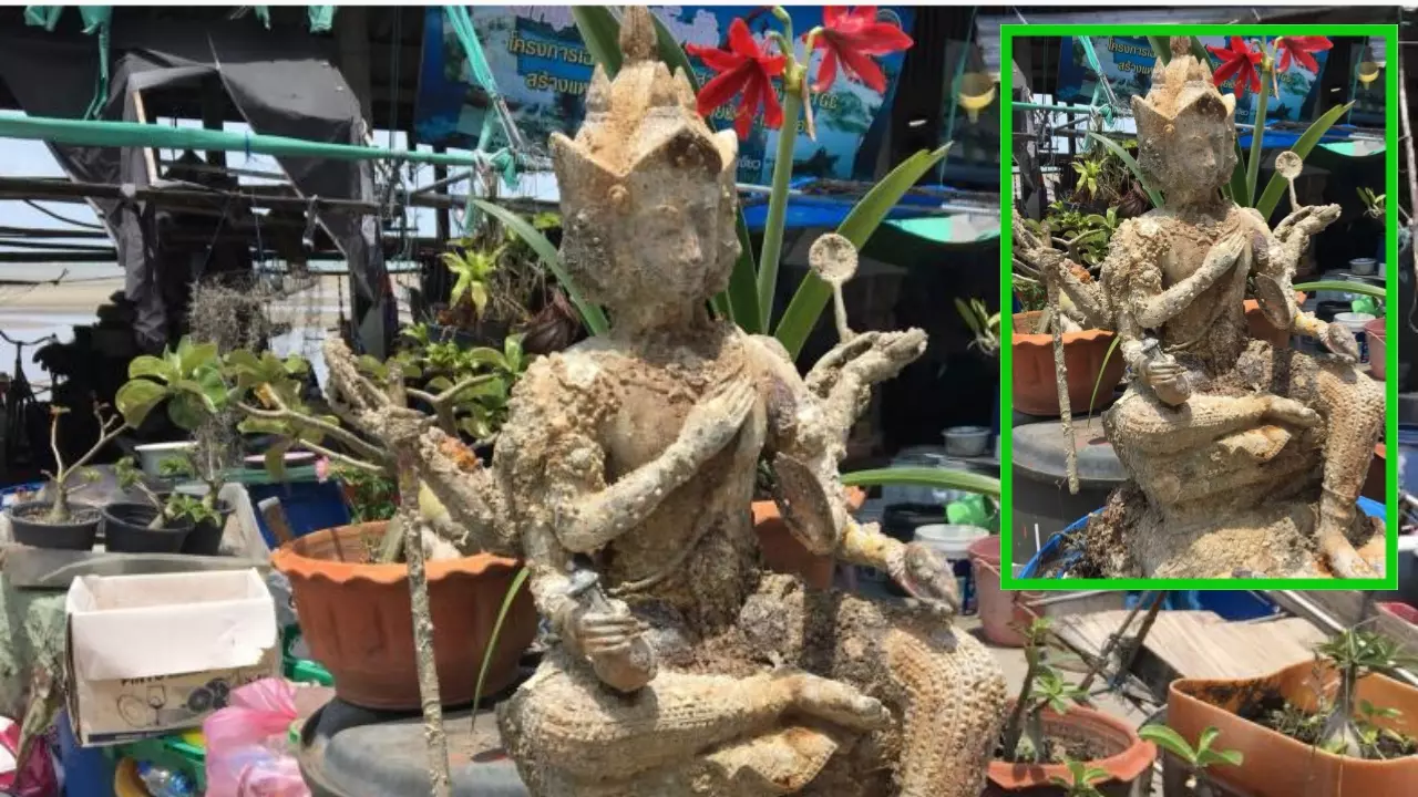 เลขเด็ดหญิงใบ้ รวมหวยดังจากทั่วไทย ไม่รวยไม่ได้แล้ว!