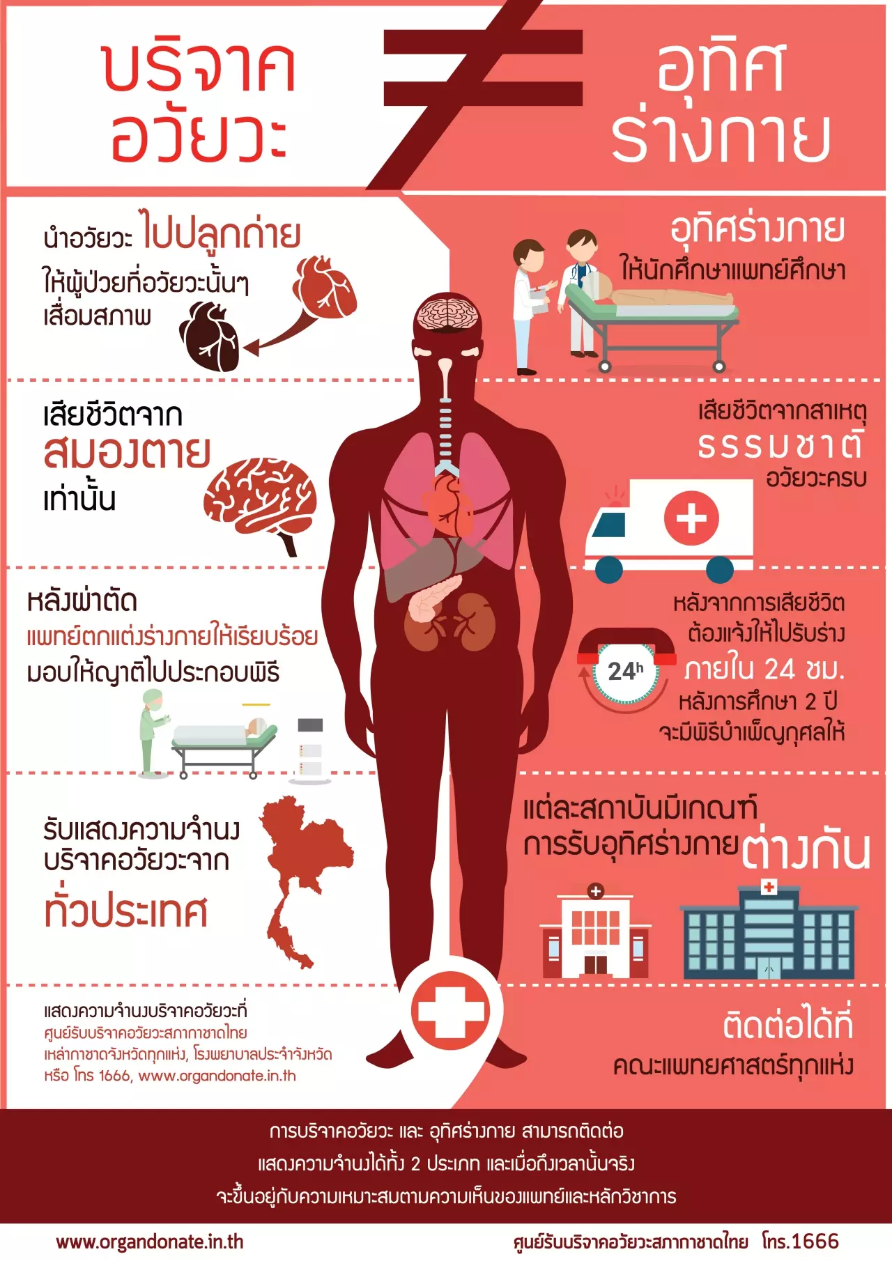ชาติหน้ากลัวอวัยวะไม่ครบ? ไขปมเหตุคนไทยไม่บริจาคอวัยวะ กาชาด เผย ต้องการไตมากสุด