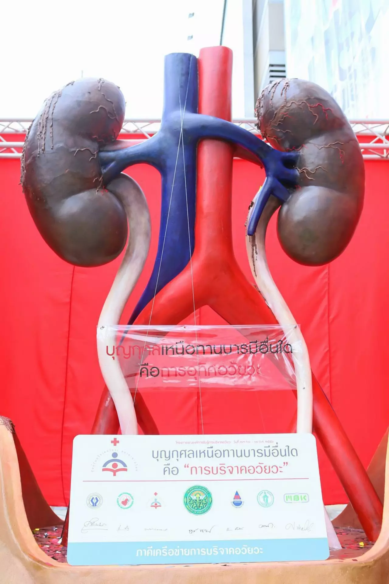 ชาติหน้ากลัวอวัยวะไม่ครบ? ไขปมเหตุคนไทยไม่บริจาคอวัยวะ กาชาด เผย ต้องการไตมากสุด