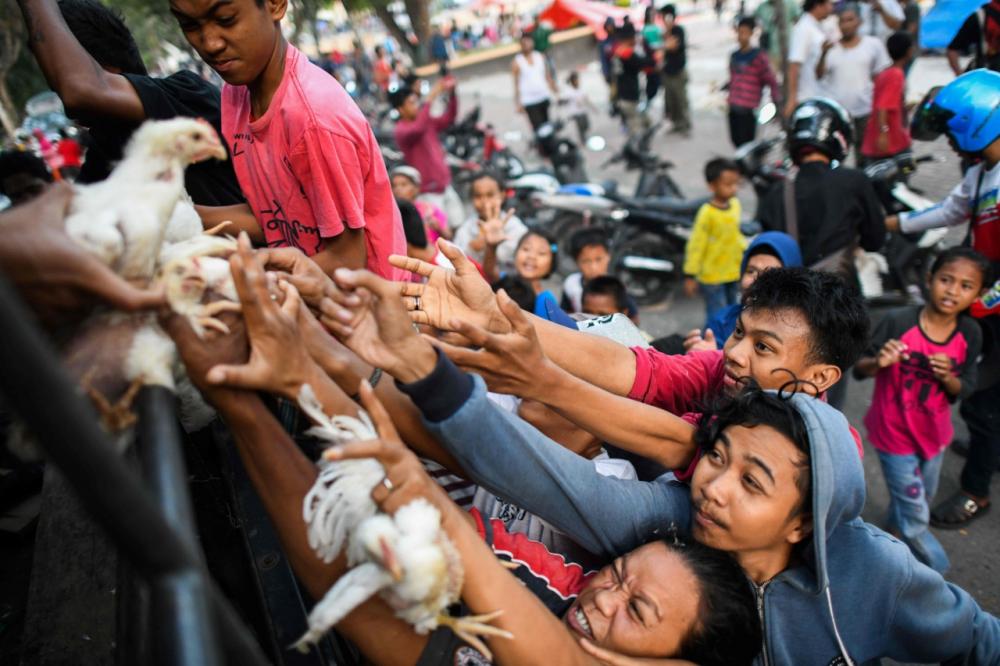 ผู้รอดชีวิตในเมืองปาลูมารอรับเสบียงอาหารที่ทางการอินโดนีเซียนำมาแจกจ่าย