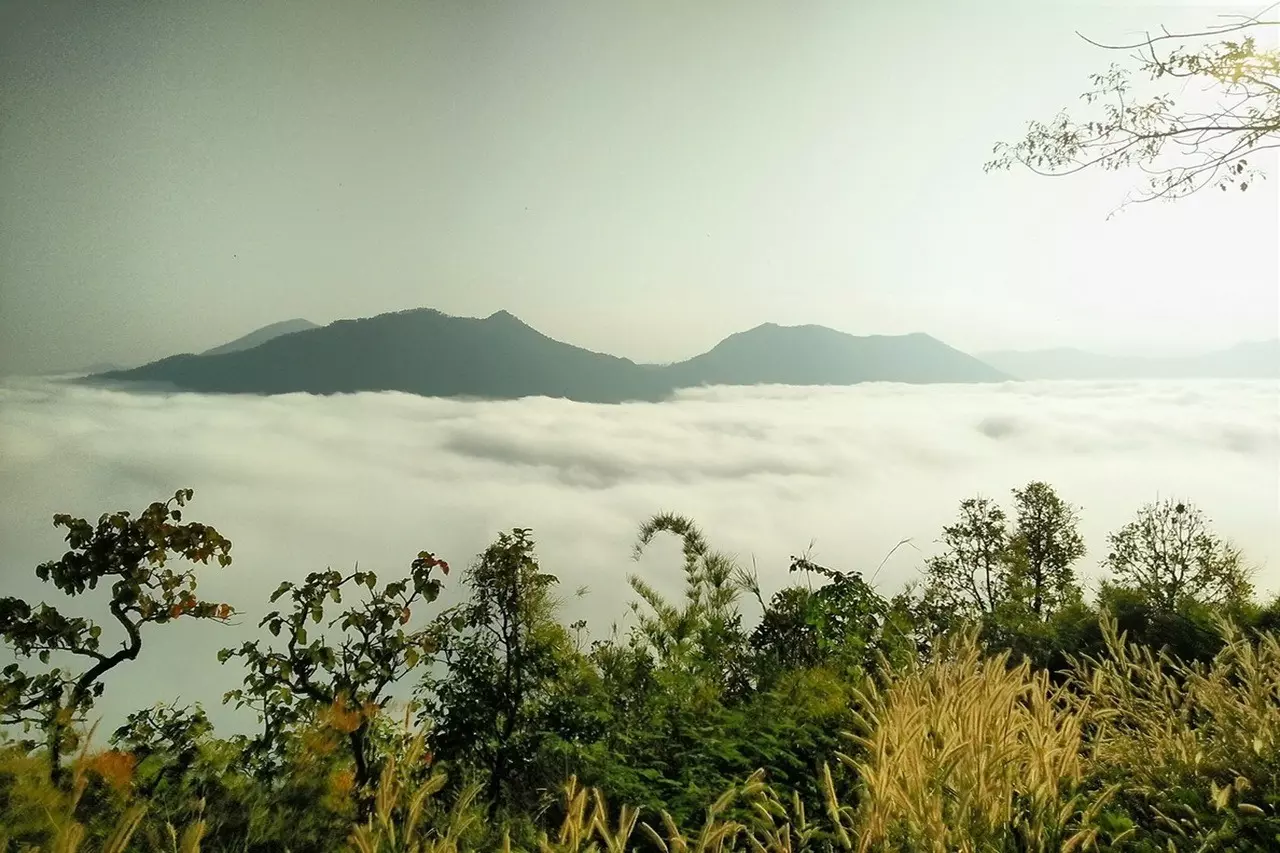 บึงกาฬหนาว ประมงพื้นบ้านหยุดหาปลา ที่เลยยอดภูเรือเหลือแค่ 9 องศาฯ