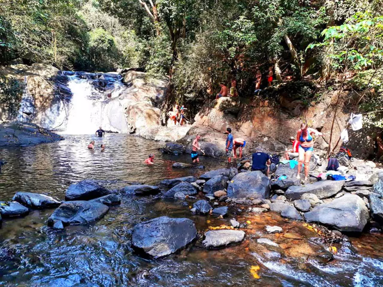 ตื่นตา! ฝูงปลาพลวง น้ำตกป่าละอู พบตัวโต มีจำนวนมากขึ้น