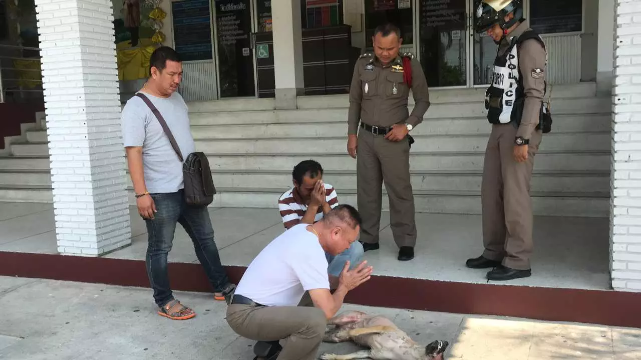 รวบคาเตา หนุ่มเขมรลวกน้ำร้อน ถอนขนตูบ เตรียมชำแหละกิน!