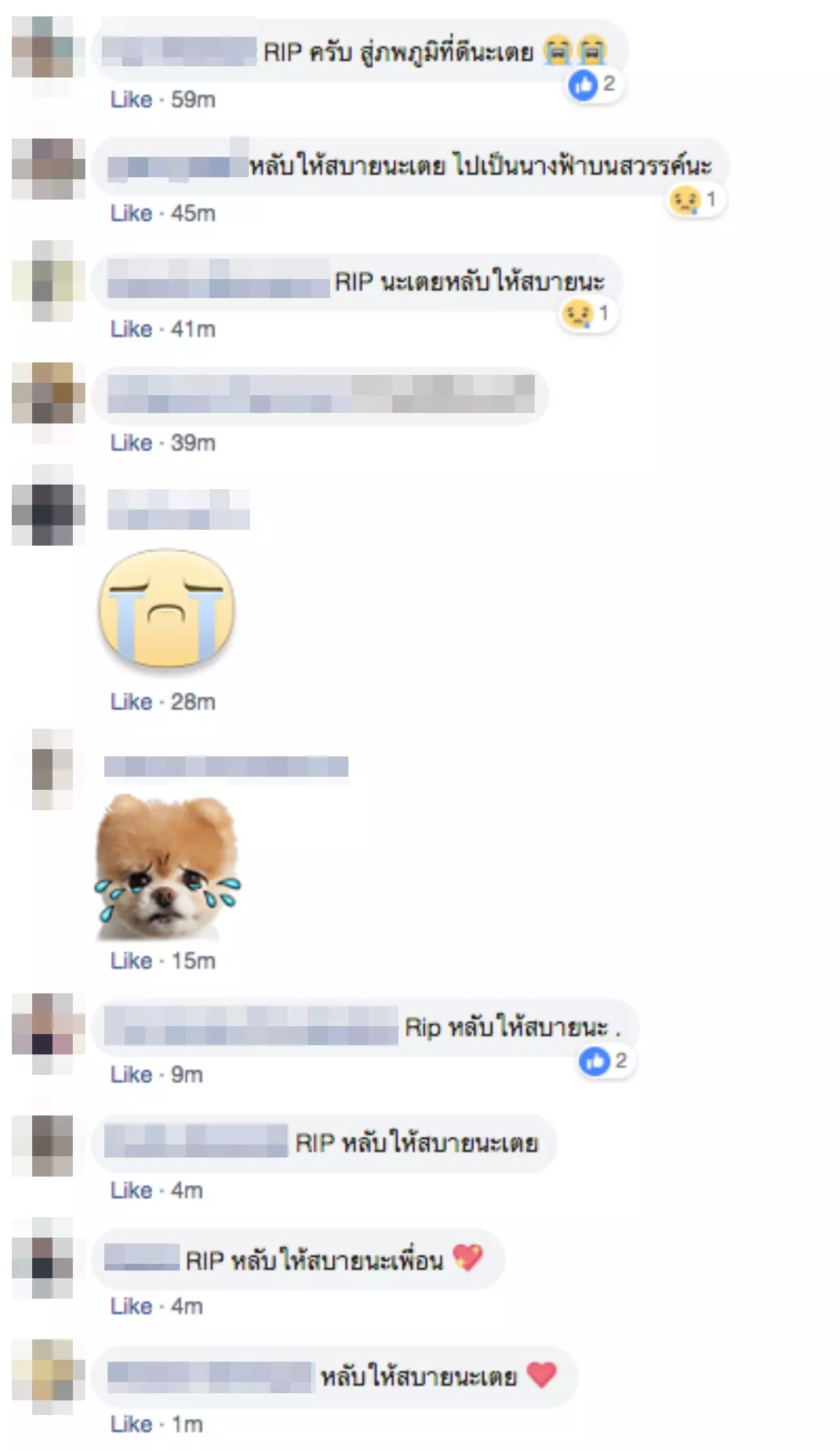 ไปเป็นนางฟ้าบนสวรรค์ อาลัย ดาวคณะวิศวะ จุดเตารมควันฆ่าตัวตาย