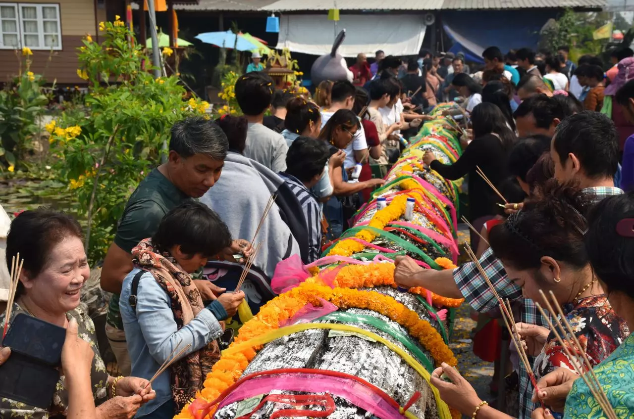 หญิงใบ้ให้เลข รวม "เลขเด็ด" มหัศจรรย์ ร่ำรวยต้อนรับ "ตรุษจีน" ปีหมูทอง