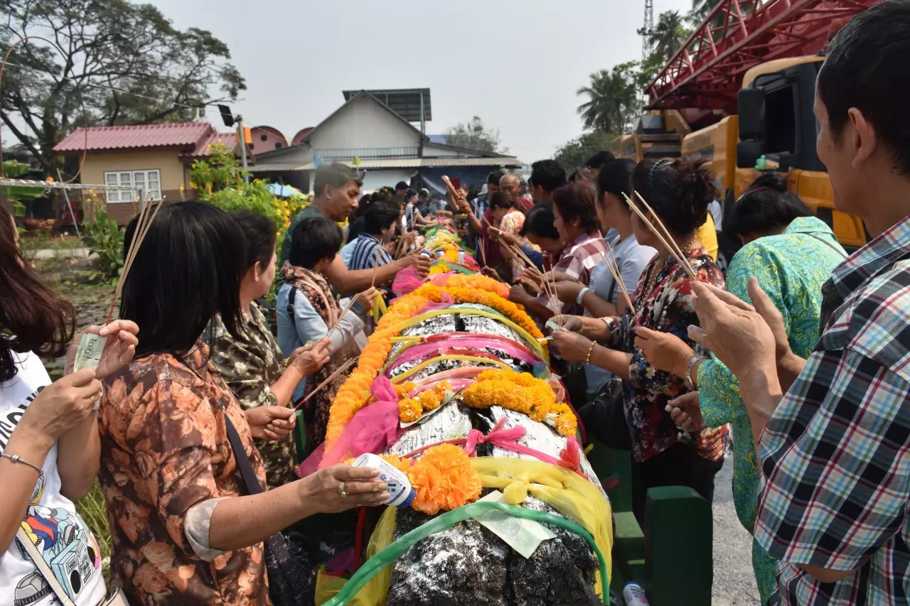 เจ้าของตลาดดัง ย้ายไม้ตะเคียนโบราณ สมัย ร.5 ถวายวัดสว่างอารมณ์