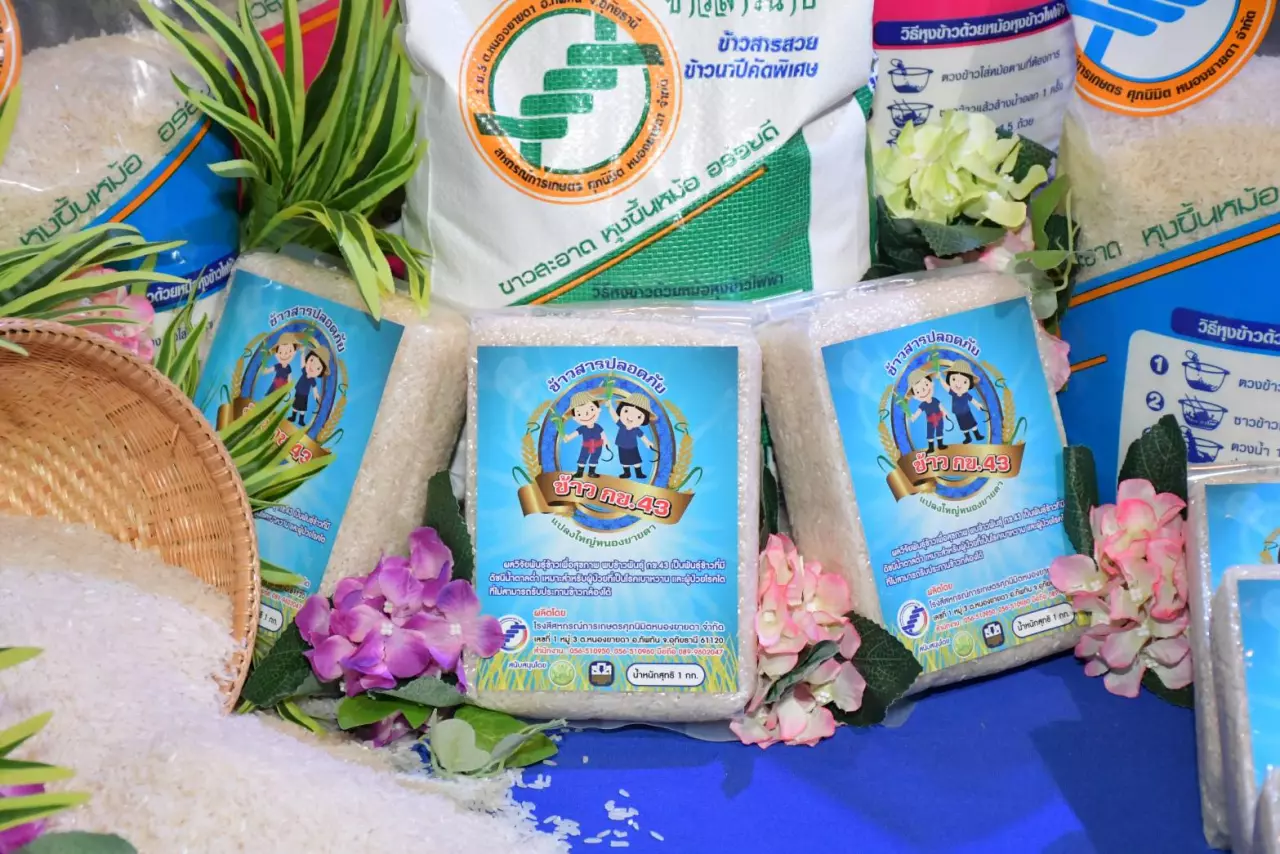 กรมการข้าว ส่งข้าวกข43 วิเคราะห์ค่า GI ออสเตรเลีย หวังปูทางตลาด ตปท.