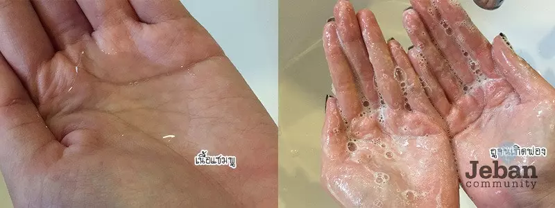5 แชมพู สูตรสมุนไพร ช่วยแก้ปัญหาผมขาดหลุดร่วง
