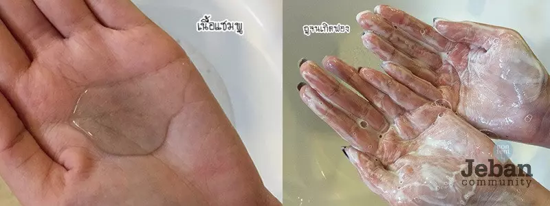 5 แชมพู สูตรสมุนไพร ช่วยแก้ปัญหาผมขาดหลุดร่วง