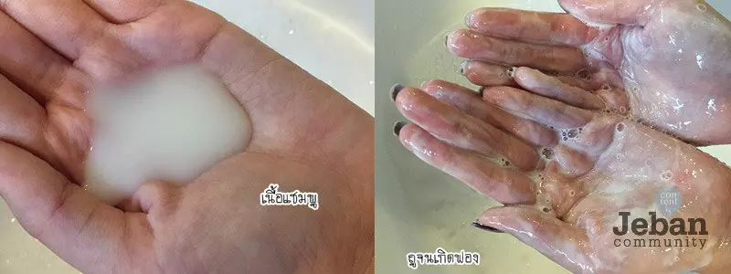 5 แชมพู สูตรสมุนไพร ช่วยแก้ปัญหาผมขาดหลุดร่วง
