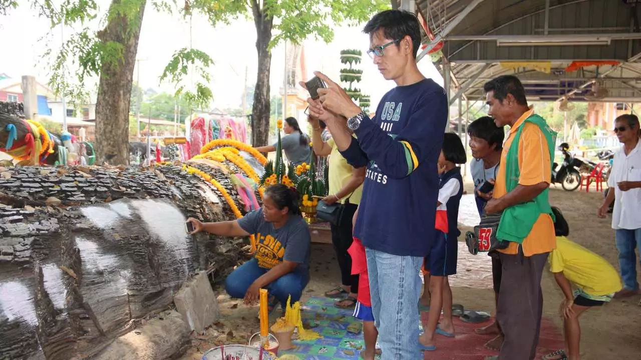เลขเด็ดตะเคียนยักษ์ "เจ้าแม่ลำดวนทอง" ใส่กล่อง ส่งด่วนจากบางระกำ