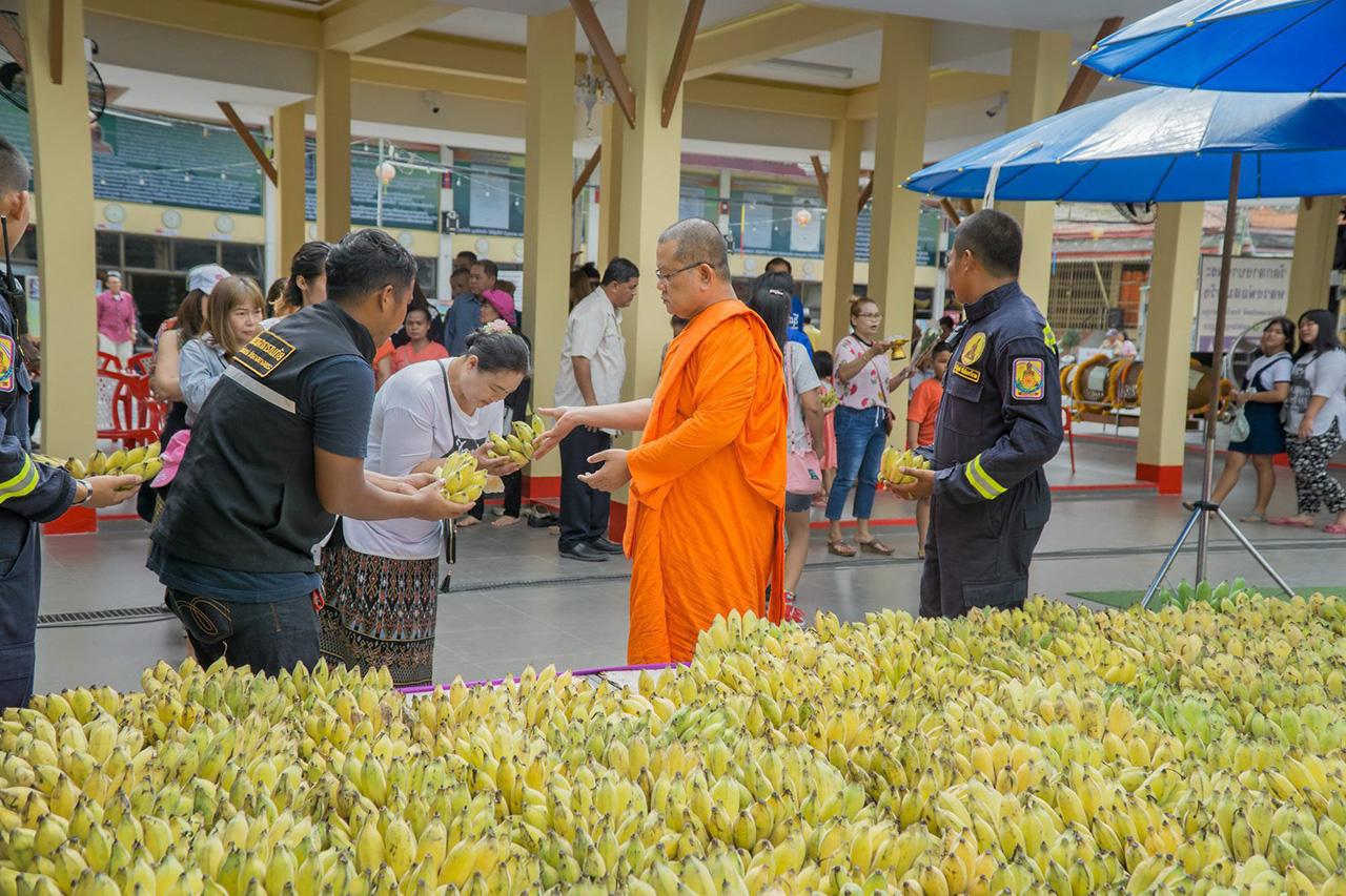 แจกกล้วย 200,000 ตัน ที่ญาติโยมนำไปแก้บน ให้กับชาวบ้านที่มาทำบุญ.
