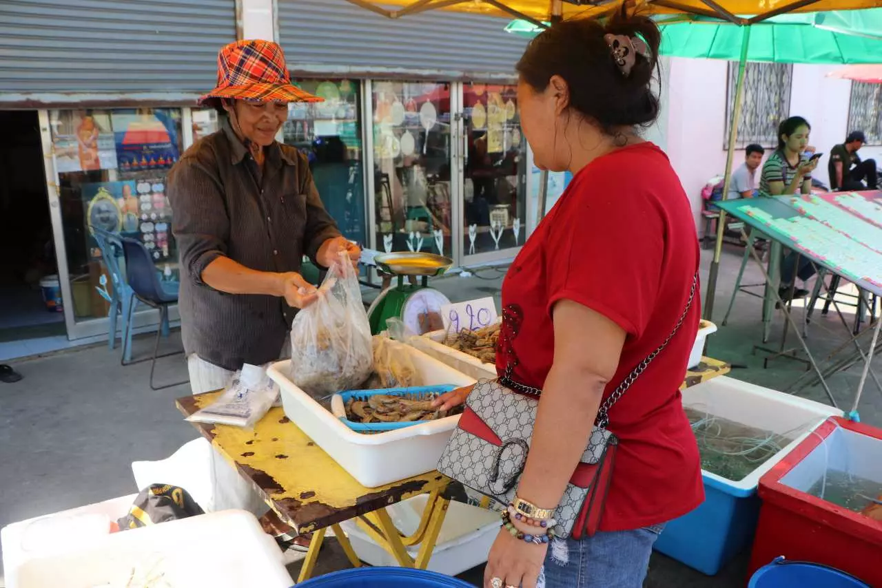 แห่ซื้อ "กุ้งก้ามกราม" ของดีที่บางปะกง ราคาแค่หลักร้อย สดจากแพทุกชม.