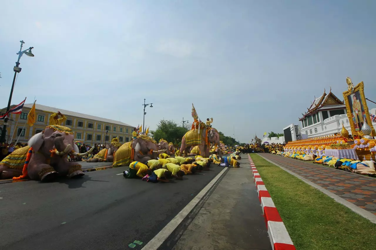 กลุ่มคชสารคู่แผ่นดิน นำช้างเดินเทิดพระเกียรติ ในหลวง ร.10 