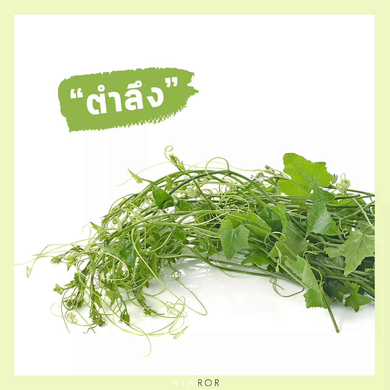 "ลดน้ำหนัก" ด้วย 10 "สมุนไพร" สรรพคุณที่ทำให้ผอม