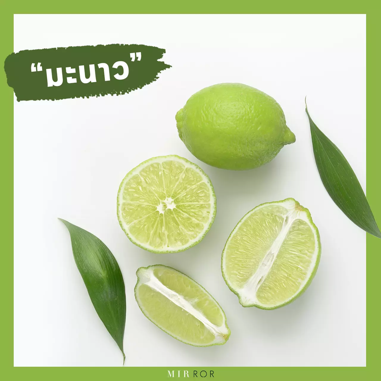 "ลดน้ำหนัก" ด้วย 10 "สมุนไพร" สรรพคุณที่ทำให้ผอม