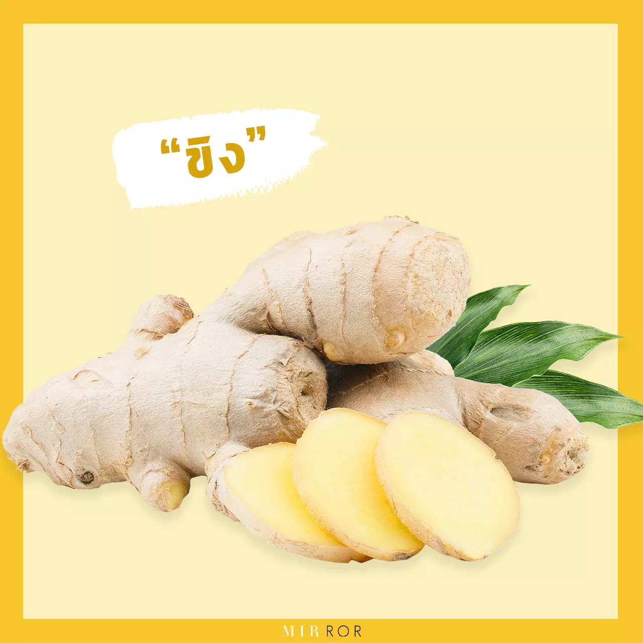 "ลดน้ำหนัก" ด้วย 10 "สมุนไพร" สรรพคุณที่ทำให้ผอม
