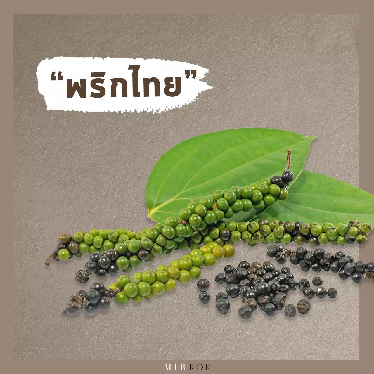 "ลดน้ำหนัก" ด้วย 10 "สมุนไพร" สรรพคุณที่ทำให้ผอม