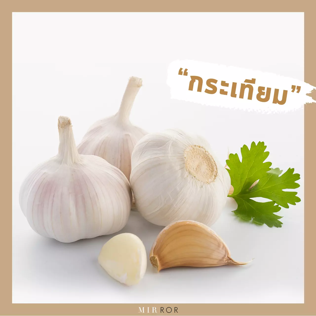 "ลดน้ำหนัก" ด้วย 10 "สมุนไพร" สรรพคุณที่ทำให้ผอม