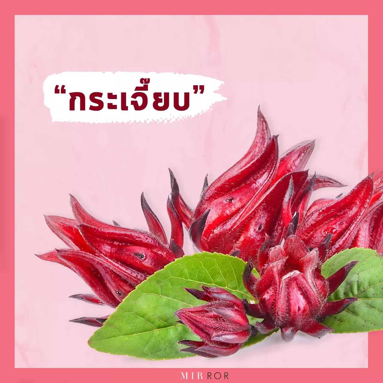 "ลดน้ำหนัก" ด้วย 10 "สมุนไพร" สรรพคุณที่ทำให้ผอม