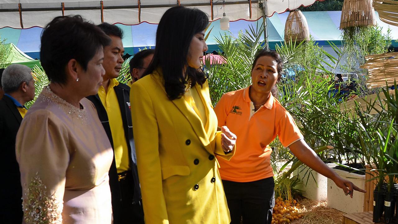 รมช.มนัญญา เดินชมซุ้มต้นอ่อนจากการเพาะเนื้อเยื่อต้นอินทผลัม ที่มีการอนุบาลให้ต้นแข็งแรง ก่อนนำไปปลูกลงดินตามหลักการปลูกที่ถูกวิธี.
