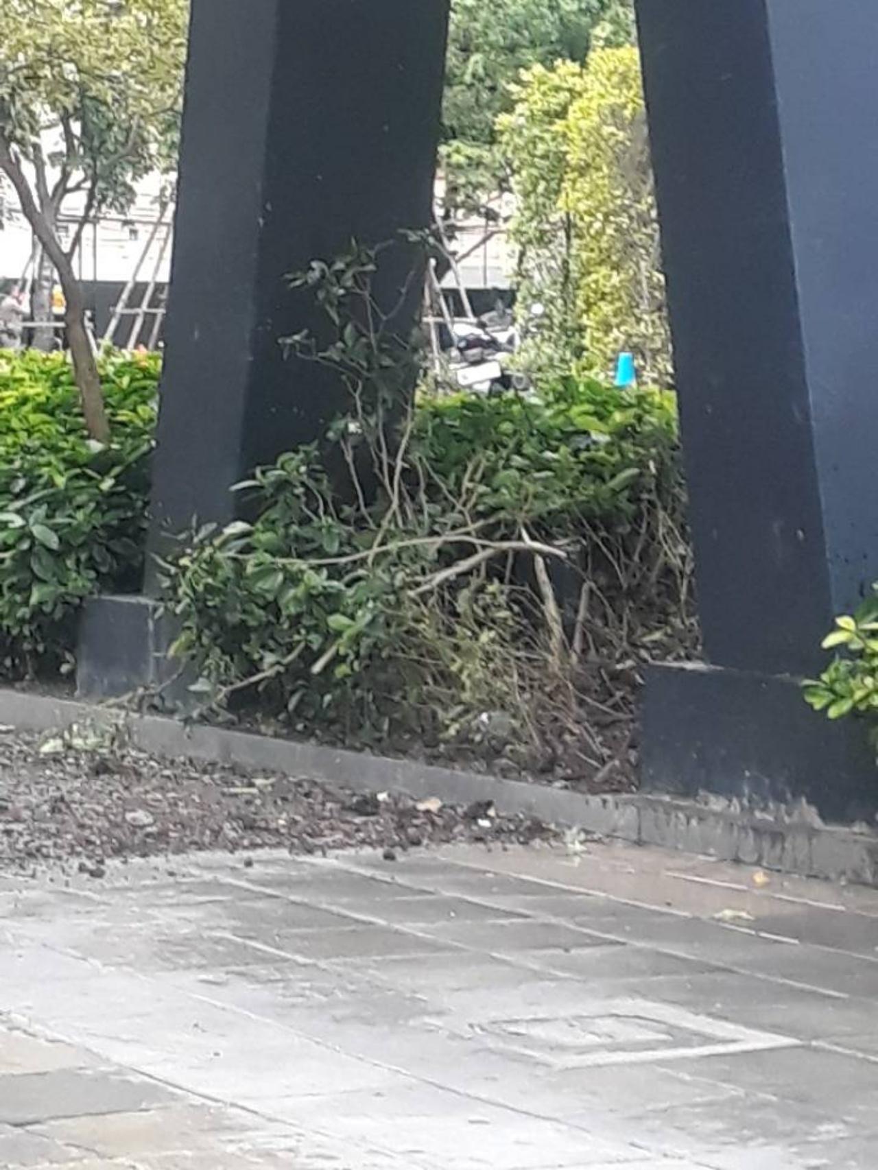 จุดบีทีเอส ช่องนนทรี