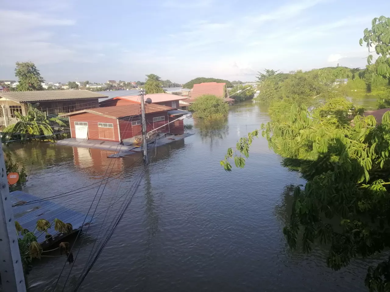 น้ำท่วมอุบลฯ ชาวบ้านไร้ที่ขับถ่ายวอนขอสุขา หมาแมวไร้ที่อยู่เกาะหลังคา