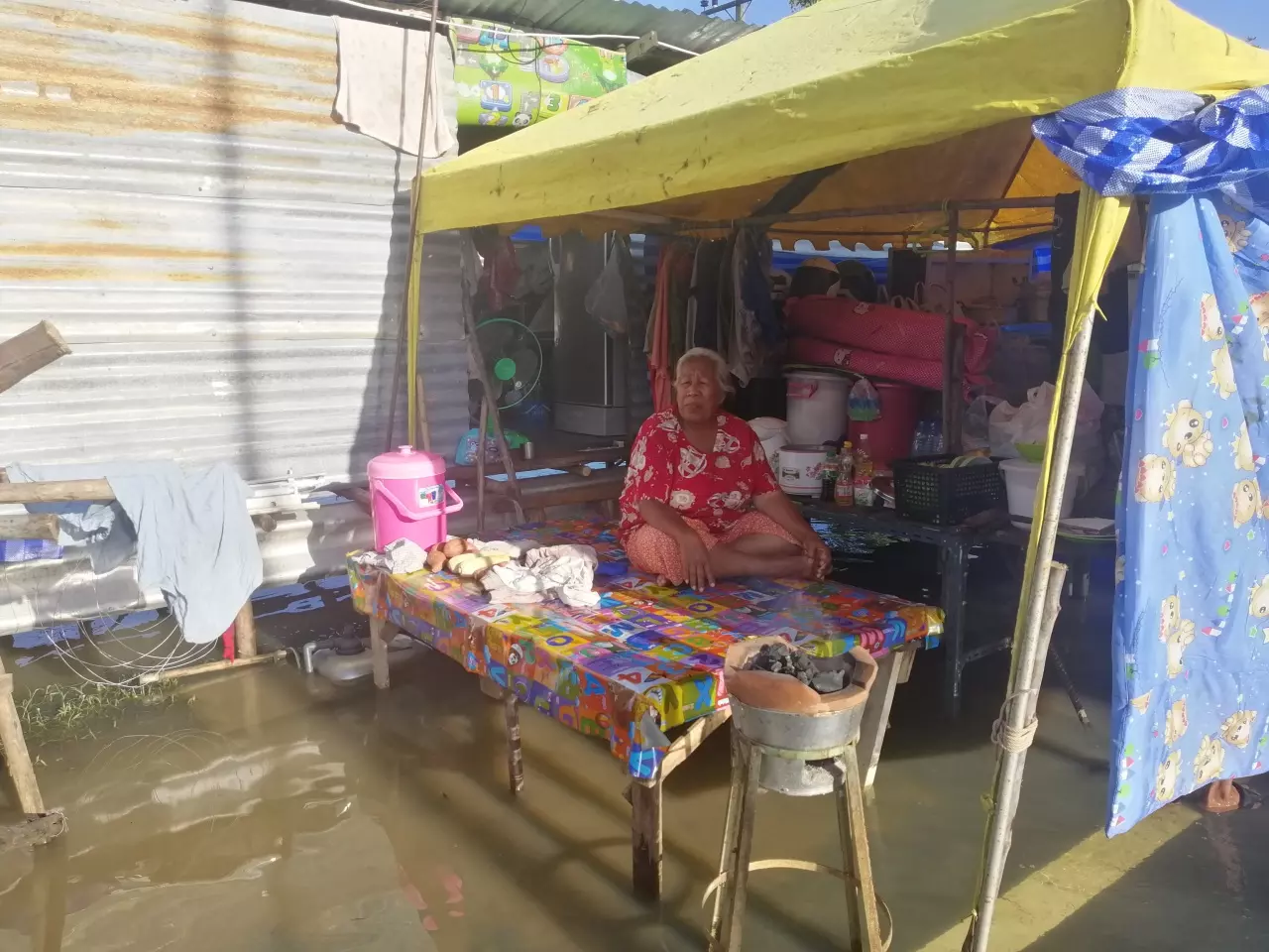 น้ำท่วมอุบลฯ ชาวบ้านไร้ที่ขับถ่ายวอนขอสุขา หมาแมวไร้ที่อยู่เกาะหลังคา