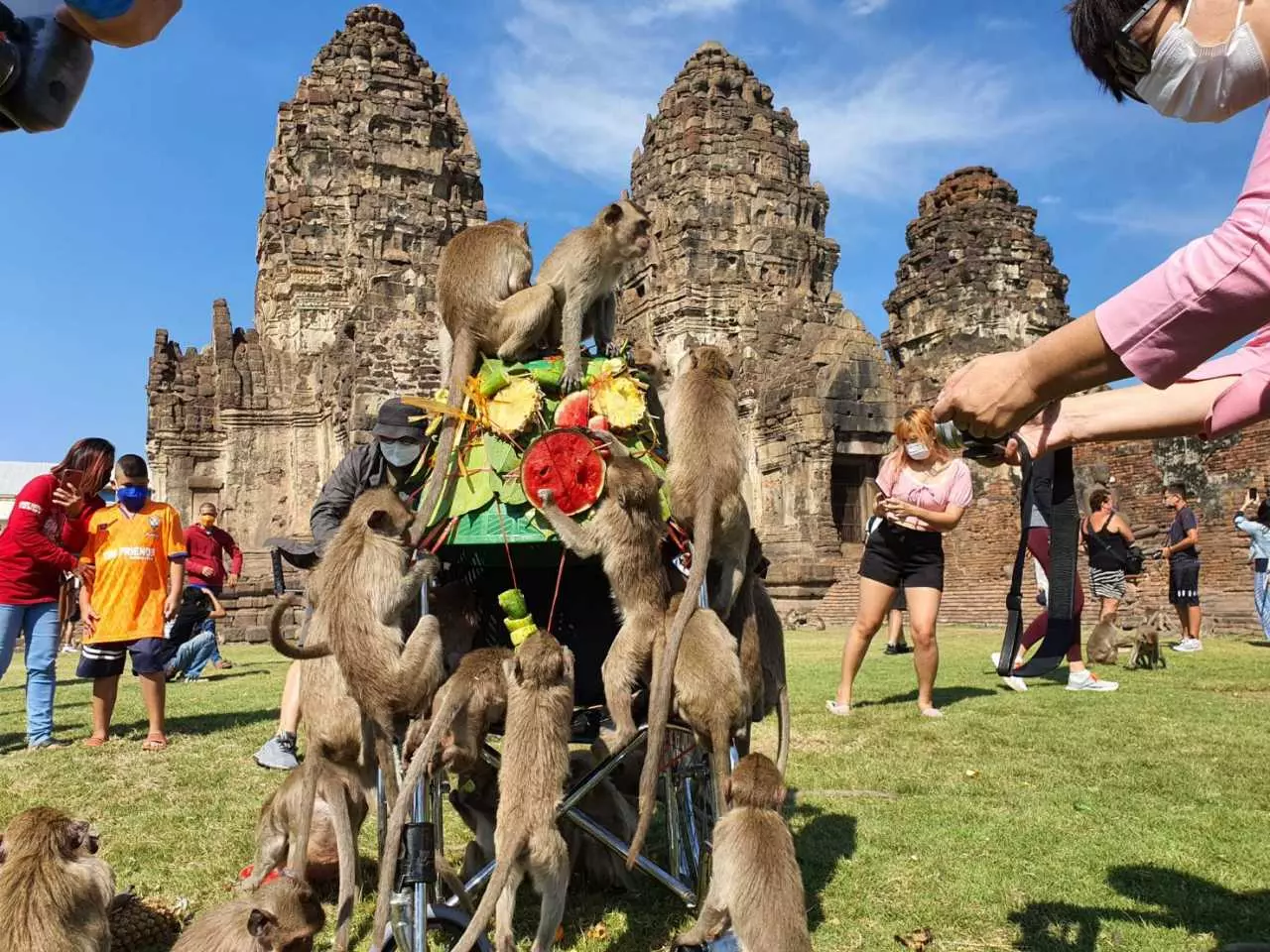 ลพบุรีคึกคัก นักท่องเที่ยวแห่ชมเลี้ยงโต๊ะจีนลิง เน้นมาตรการป้องกันโควิด (คลิป)