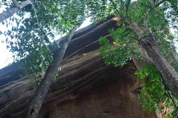 ถ้ำนาคี