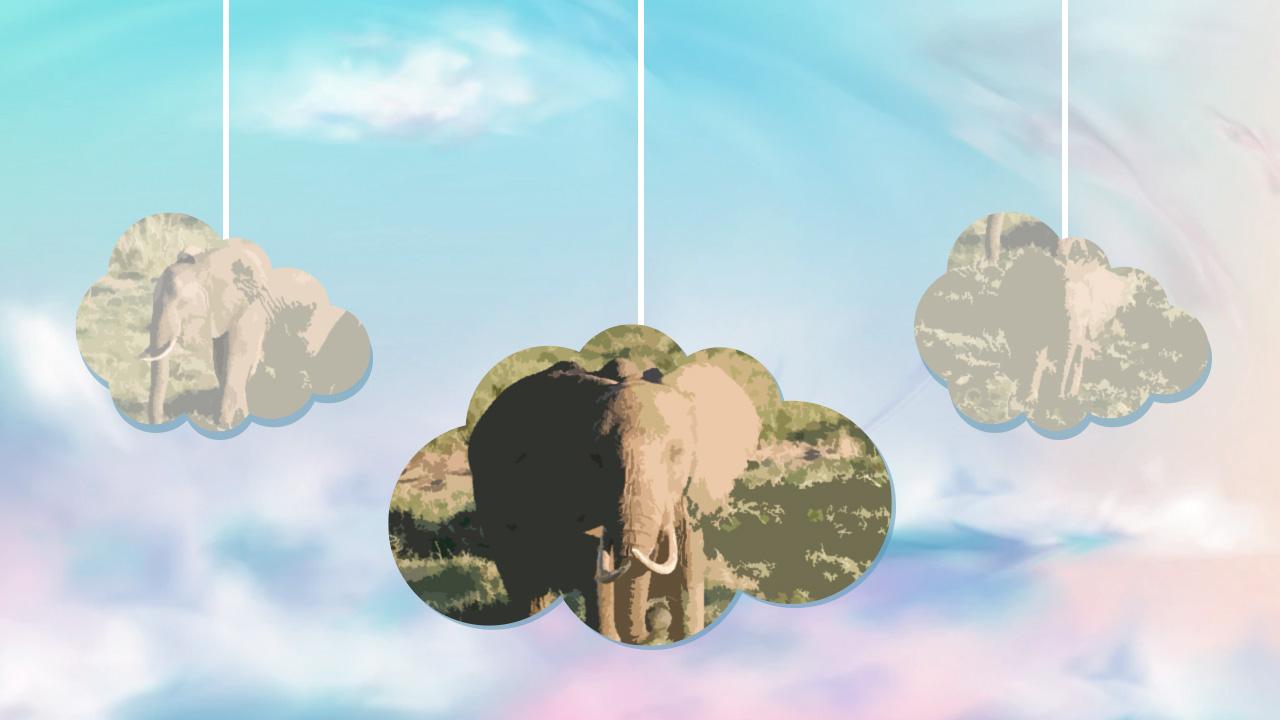 .ฝันว่าเห็นช้าง ความหมายคืออะไร พร้อมเลขเด็ด
.