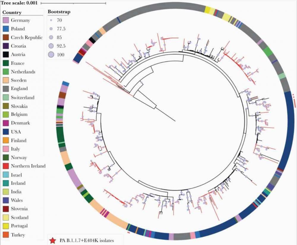 ภาพจาก : https://www.ncbi.nlm.nih.gov/pmc/articles/PMC8244812