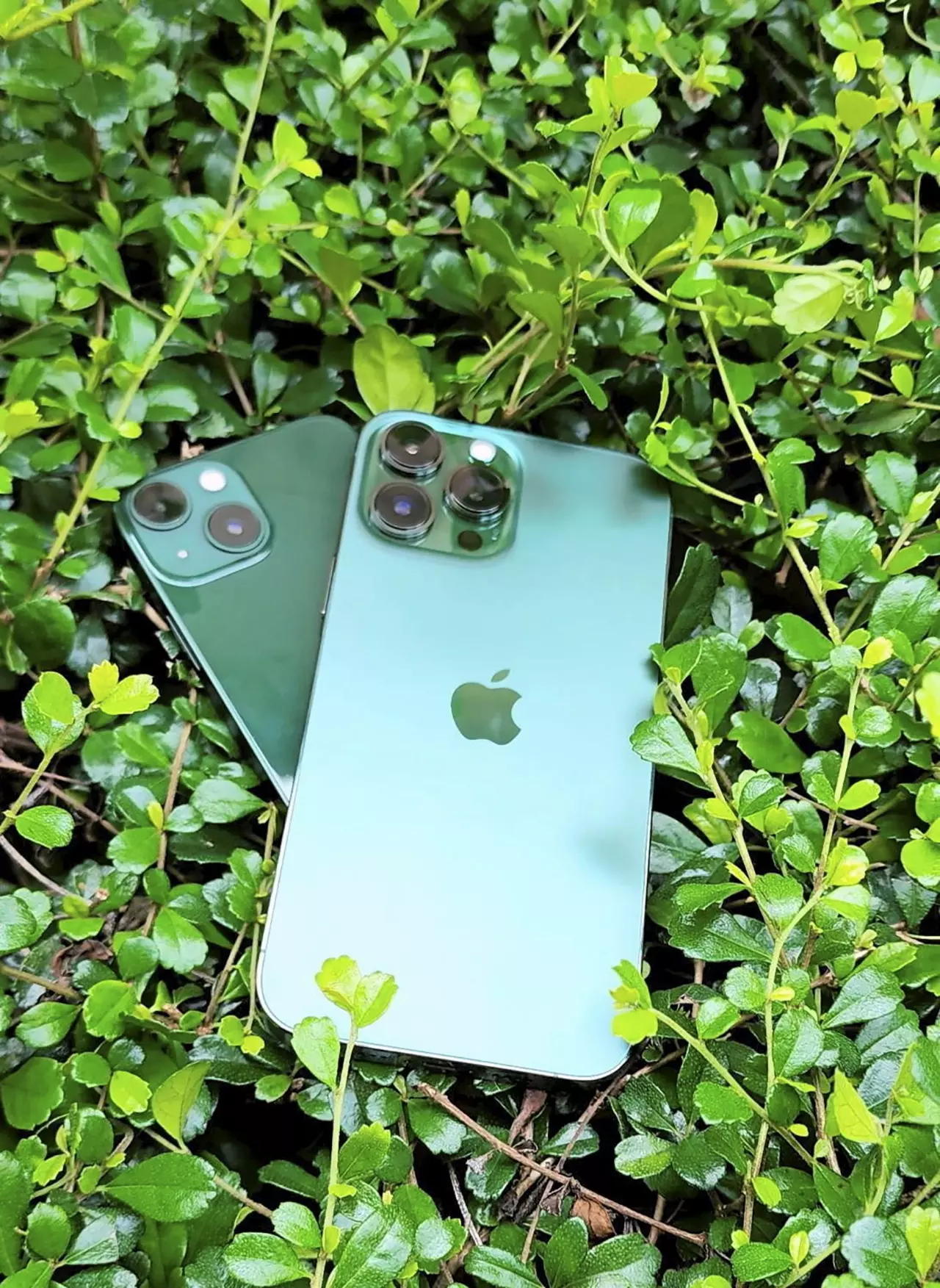 iPhone 13 สีเขียว ดีไซน์ใหม่สะดุดตา