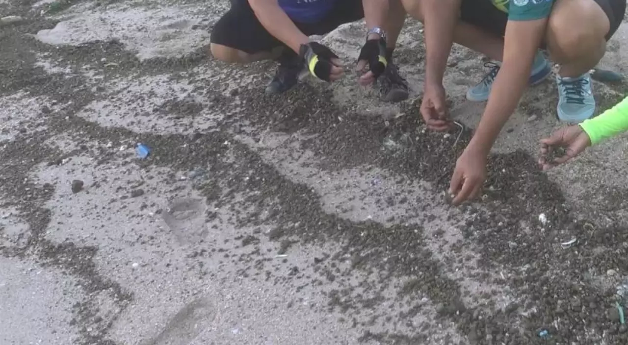 ไขปริศนาหินภูเขาไฟ หายากมากในไทย เกลื่อนชายหาดภาคใต้ พัดมาจากที่ใด