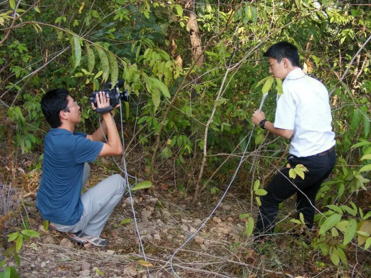 คดีสุดเศร้า “โทโมโกะ คาวาชิตะ” ชีวิตสาวญี่ปุ่นที่ถูกพรากในไทย